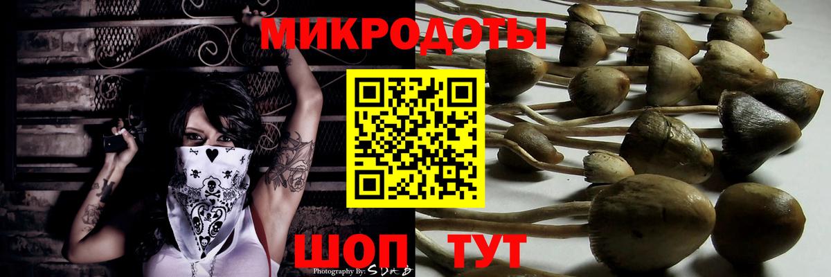продажа наркотиков  Вход с VPN  Сердобск  Псилоцибиновые грибы прущие грибы 